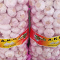 /msite/products/detail/productid/57631204/id/677584.html